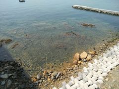 -星海湾跨海大桥