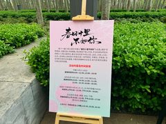 -仁和公园(顺义区)