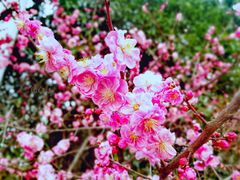-天鹅湖体育公园