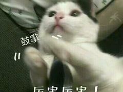 -北京汉丽轩自助烧烤(解放桥店)
