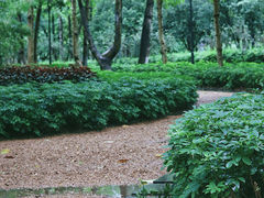 -燕晗山郊野公园