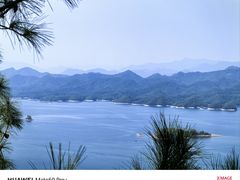 -宝荣鱼馆·临湖之宴(千岛湖店)