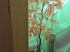 -水云空涧·沐足·采耳·按摩·SPA影院(琶洲店)