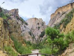 -彩色沙林风景区