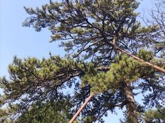 -香山公园