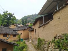-杨家堂村