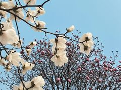 -首都图书馆-咖啡厅