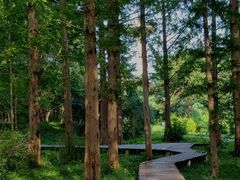 -国家植物园南园