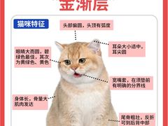 -Bastet sally猫舍购宠(静安店)