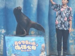 -华夏文旅海洋公园