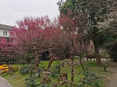 -成都杜甫草堂博物馆