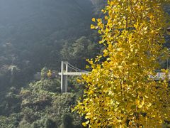 -三清山希尔顿度假酒店