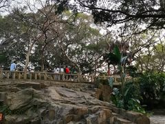 -乌山风景区