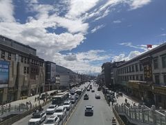 -西藏自治区图书馆