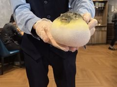 -肆月河豚·新淮扬(金融街店)