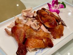 -凯鸽酒楼(振兴街店)