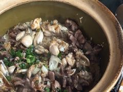 -红星光发煲仔饭(文海店)