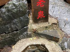 -九龙潭景区