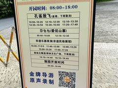 -西双版纳原始森林公园