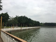 -仙湖旅游度假区