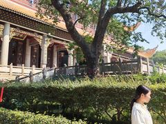 -南岳衡山风景名胜区-南岳大庙