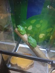 -酷嗒动物文化乐园(cutezoo西溪乐天城店)