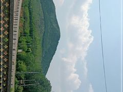 -中原农家乐(中原饭店)