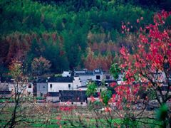 -塔川景区