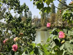 -常德桃花源景区