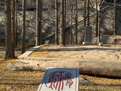 -阳台山自然风景区