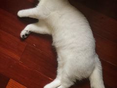 -里面·Noodlology(机电院店)