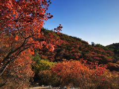 -北京西山国家森林公园