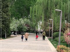 -仁和公园(顺义区)