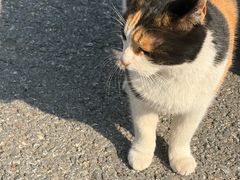 -清风小镇闯关东影视基地