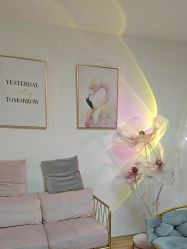 -美肤盾祛痘·问题肌头疗管理中心