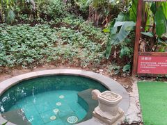 -碧桂园润杨溪谷温泉酒店