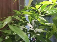 -喜粤广东菜(汉屯路店)