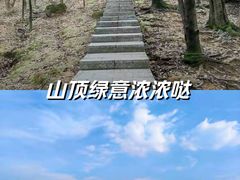 -火炉山森林公园