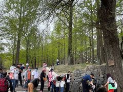 -阳台山自然风景区