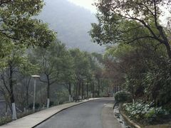 -长谷洞天