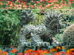 -杭州植物园