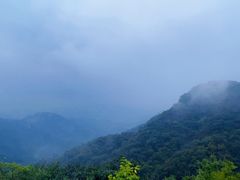 -大岭沟猕猴桃谷风景区