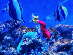 -太平洋海底世界