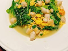 扇贝柱小白菜-前海沿·青岛菜(大拇指广场石老人店)