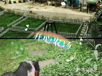 遛娃圣地来佘山茂御开心农场