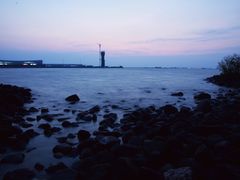 -吴淞炮台湾湿地森林公园烧烤区