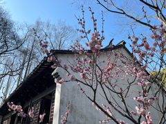 -上海方塔园