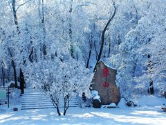 -鲁山国家森林公园