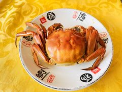 -蟹宝酒楼•农家菜(古城北路店)