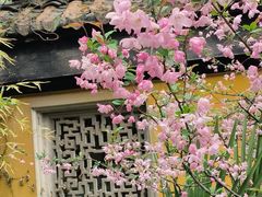 -苏州上方山国家森林公园